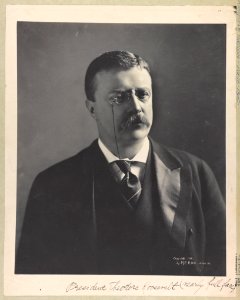 President Theodore Roosevelt (nearly full face) LCCN97504551 photo