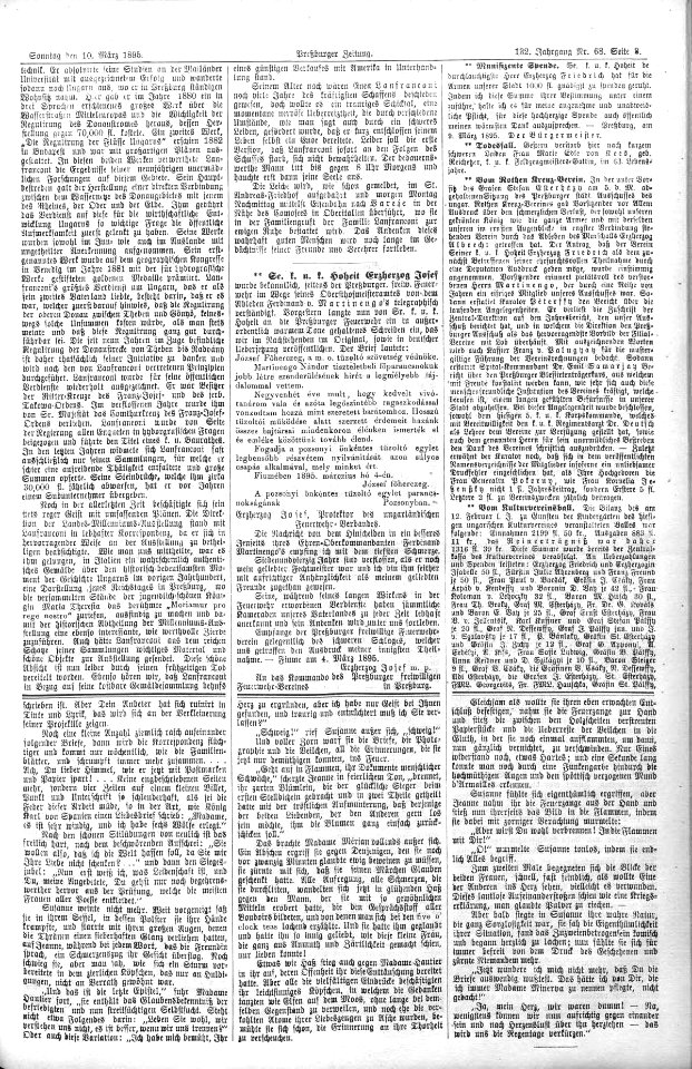 Preßburger Zeitung vom 10. März 1895, Seite 3