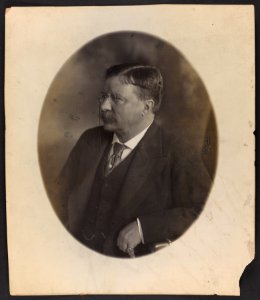 President Theodore Roosevelt, sitting side face LCCN2013649555 photo