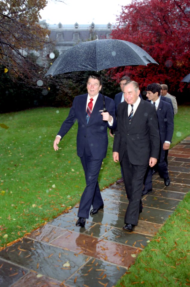 President Ronald Reagan with President Chaim Herzog of Israel