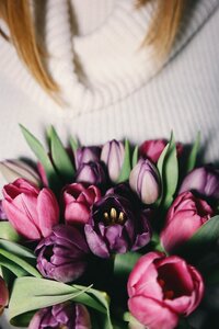 Petal bloom garden