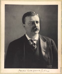 President Theodore Roosevelt (3-4 face) LCCN2005677947 photo