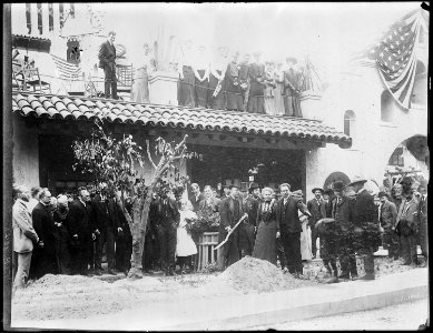President Theodore Roosevelt replanting a Bahia tree originally planted in 1874 in Riverside, California. - NARA - 516538
