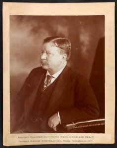 President Theodore Roosevelt, sitting side face LCCN2013649553 photo