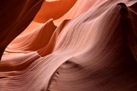 Canyon red nose