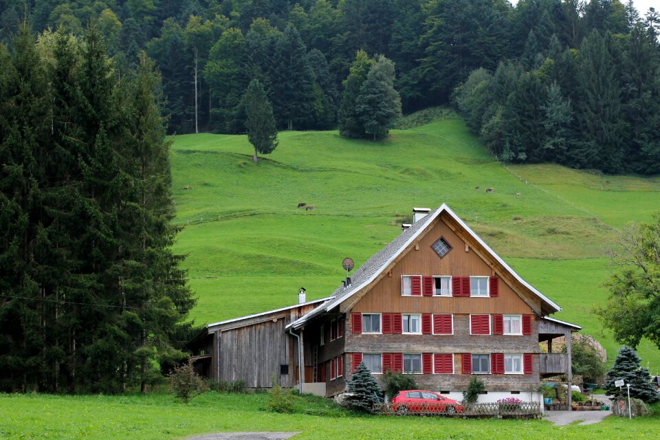 Green mountain hut nature