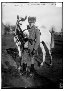 Prince Adolf of Schaumburg Lippe LCCN2014699149