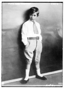 Prince Alex. Ferdinand LCCN2014710965