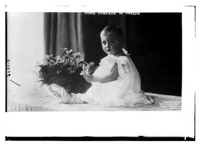 Prince Frederick of Prussia LCCN2014692994