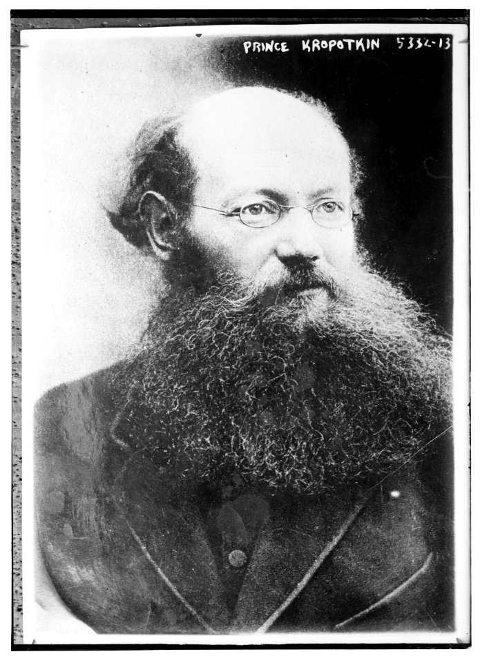 Prince Kropotkin LCCN2014719552
