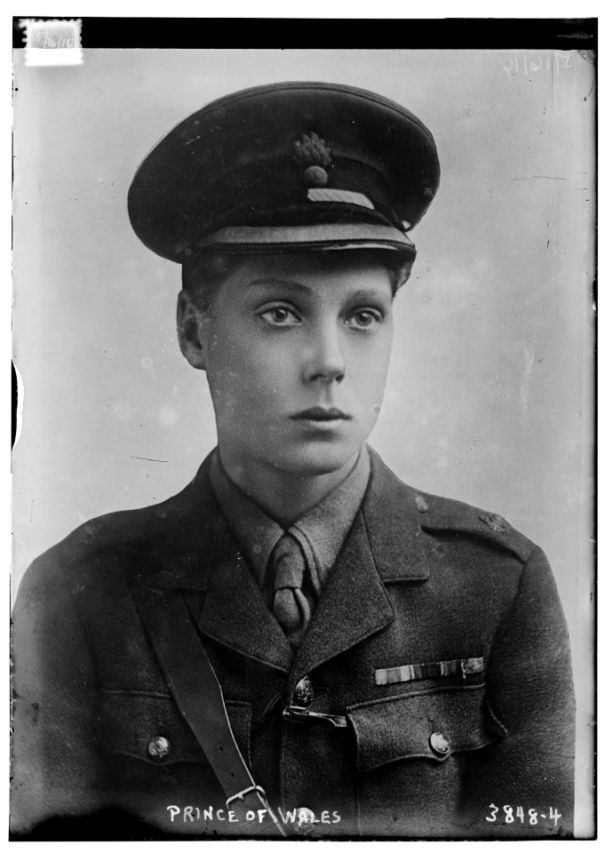 Prince of Wales LCCN2014701609