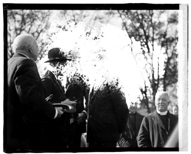 Prince of Wales & Douglas (...) LCCN2016819874