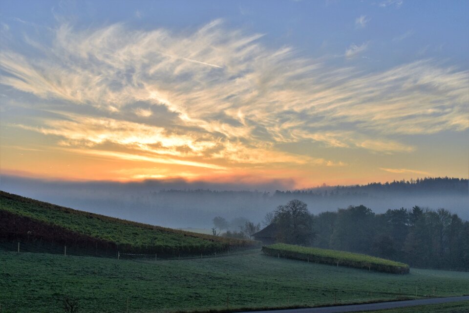 Sunrise fog golden autumn