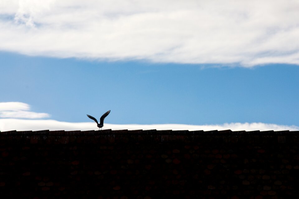 Nature landscape horizontal