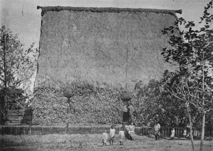 Princess Thakombau's House, Rewa River