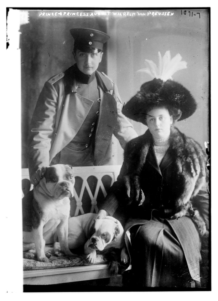 Prine and Princess August Wilhelm von Preussen with dogs LCCN2014685187