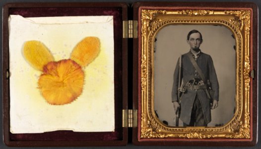 Private Jackson A. Davis of Co. E, Holcombe Legion South Carolina Cavalry Battalion, with musket and two pistols) - Rees LCCN2012649109
