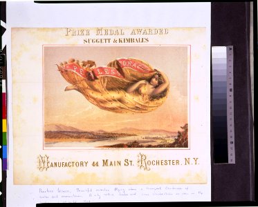 Prize medal awarded-Suggett & Kimball's peerless tobacco - lith. of Moller & Forst 12 Vesey St. N.Y. LCCN96504694