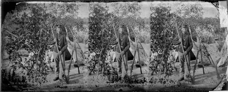 Private of 33rd Infantry, N.Y - NARA - 529603