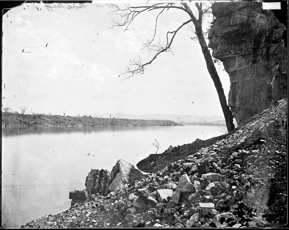 Profile Bluff, Tennessee River, Tenn - NARA - 528952