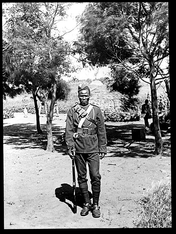 Private Angelo Wellcome L0022670