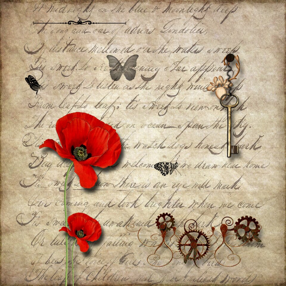 Retro texture poppy