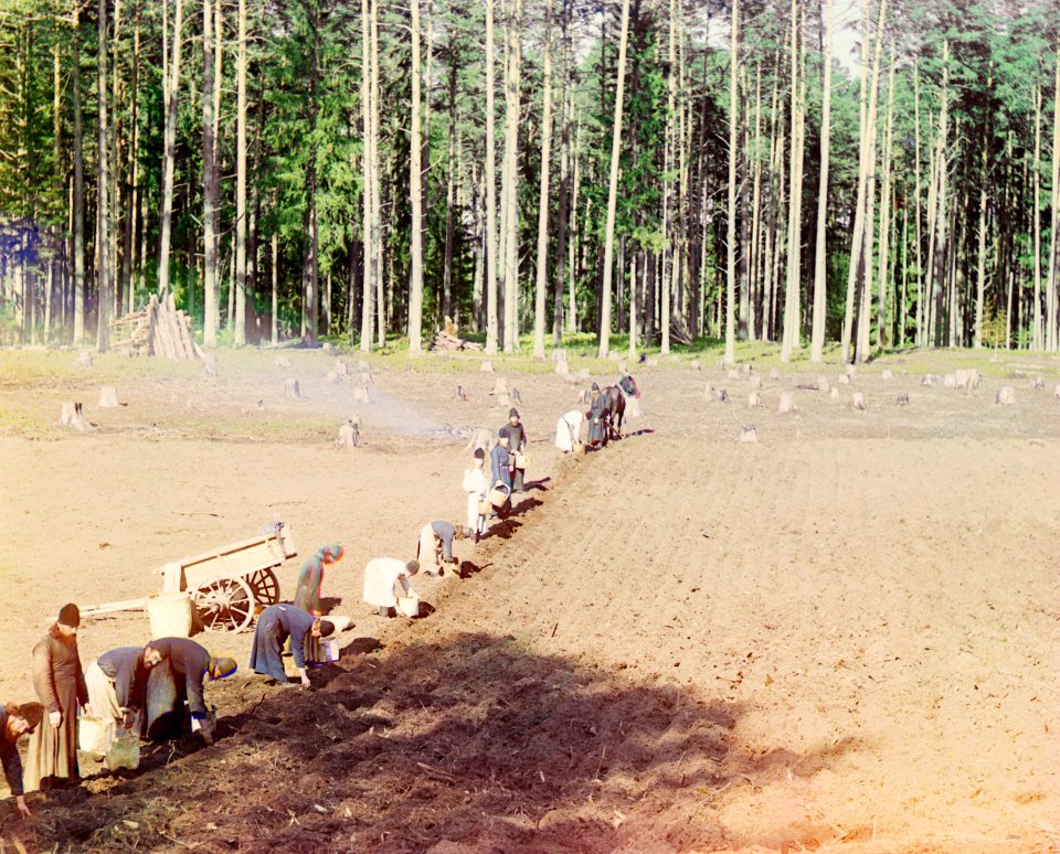 Prokudin-Gorskii-39