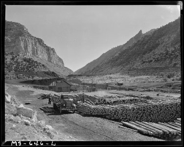 Props for timbering the mine. Utah Fuel Company, Castle Gate Mine, Castle Gate, Carbon County, Utah. - NARA - 540549