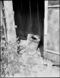 Privy. Cary, Bell County, Kentucky. - NARA - 541179 photo