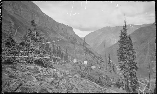 Prospectors camp, Cunningham Gulch. Silverton Quadrangle. San Juan County, Colorado. - NARA - 517163