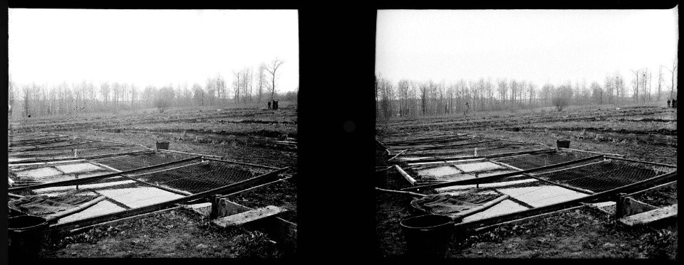 Prouzel. L'établissement de pisciculture Mounoyes - Fonds Berthelé - 49Fi255