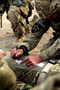 PRT Farah conducts medical evacuation training with Charlie Co., 2-211th Aviation Regiment at Forward Operating Base Farah 130109-N-IE116-283 photo