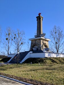 World war ii commemoration mikolin photo