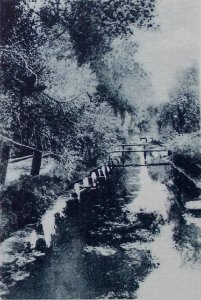 Pružany, Muchaviec. Пружаны, Мухавец (1915-18) (3)