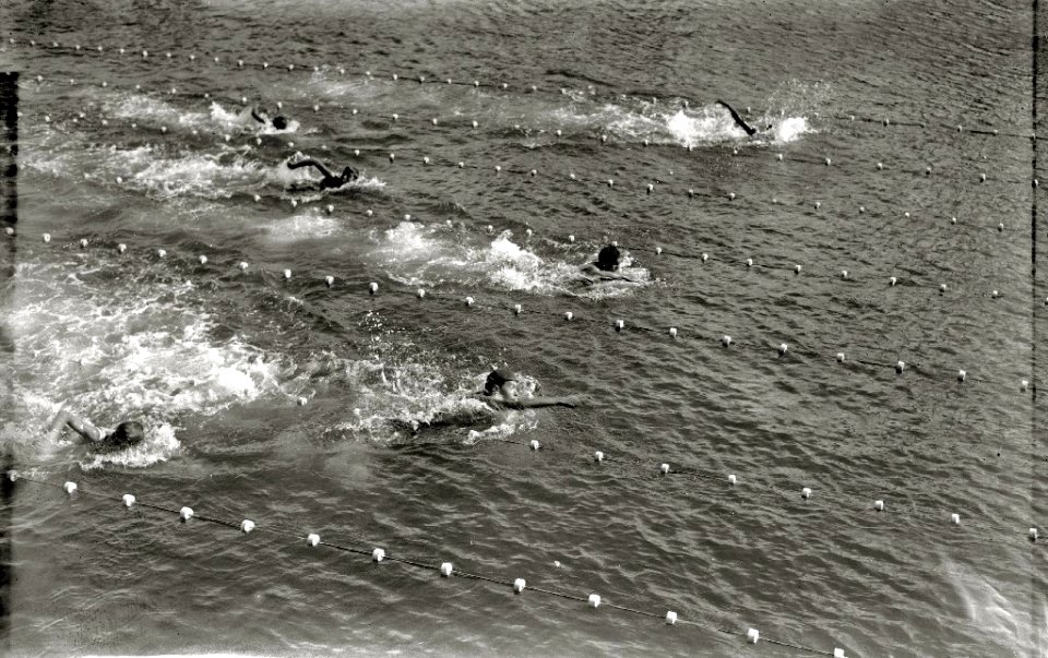 Prueba de natación el puerto de San Sebastián (2 de 2) - Fondo Car-Kutxa Fototeka