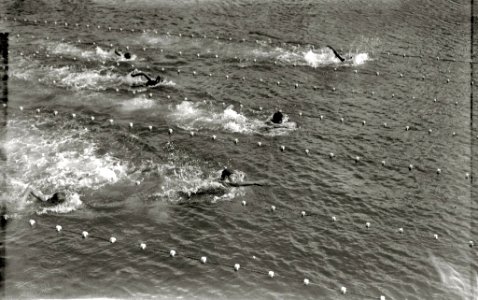 Prueba de natación el puerto de San Sebastián (2 de 2) - Fondo Car-Kutxa Fototeka