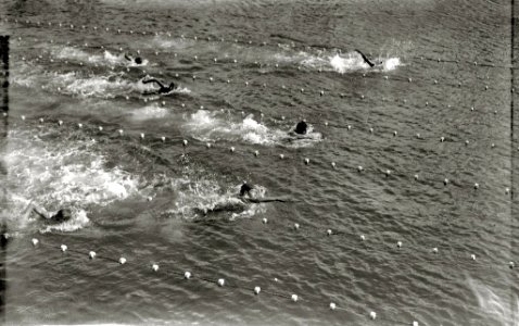 Prueba de natación el puerto de San Sebastián (2 de 2) - Fondo Car-Kutxa Fototeka photo