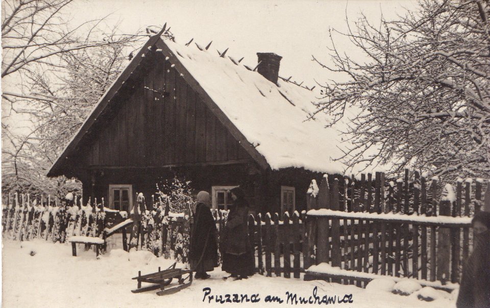 Pružany. Пружаны (01.1916)
