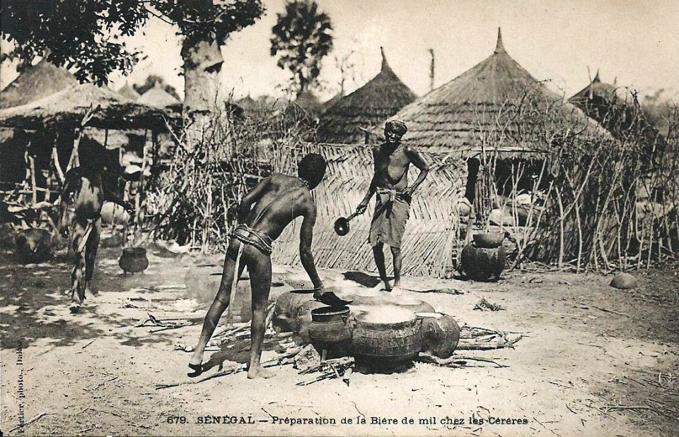 Préparation de la bière de mil chez les Cérères (AOF)