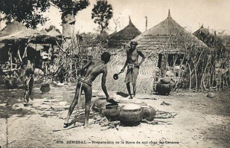 Préparation de la bière de mil chez les Cérères (AOF)