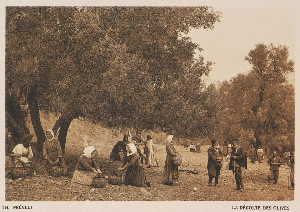 Préveli La récolte des olives - Baud-bovy Daniel Boissonnas Frédéric - 1919