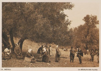 Préveli La récolte des olives - Baud-bovy Daniel Boissonnas Frédéric - 1919