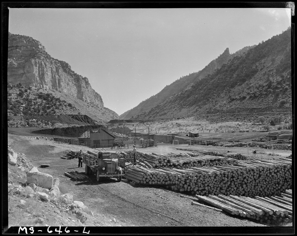 Props for timbering the mine. Utah Fuel Company, Castle Gate Mine, Castle Gate, Carbon County, Utah. - NARA - 540549