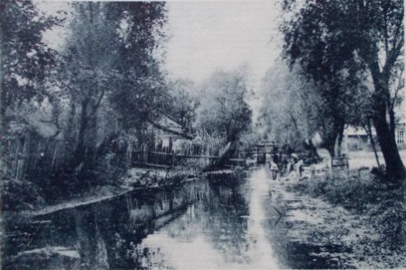 Pružany, Muchaviec. Пружаны, Мухавец (1915-18) (5)