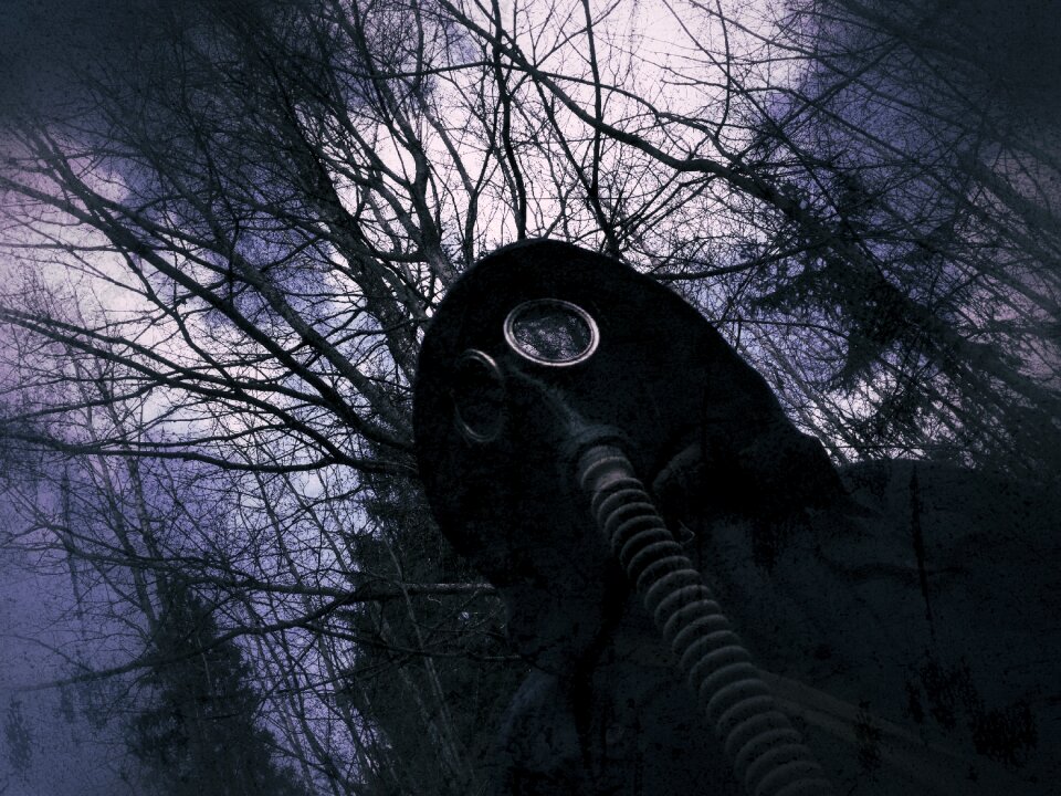 Nuclear forest dark