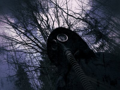 Nuclear forest dark