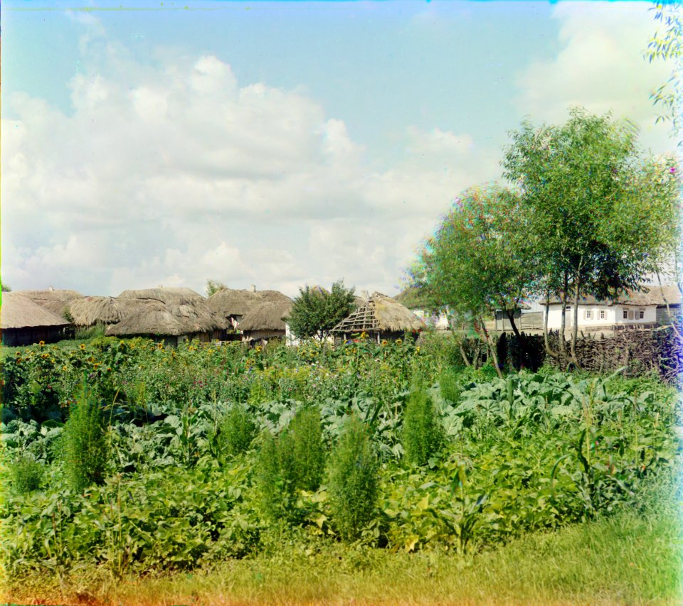 Prokudin-Gorskiy - V Malorosii 3