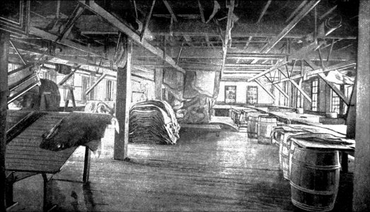 PSM V41 D370 Finishing room of a leather factory