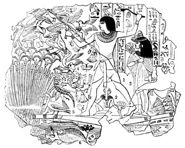 PSM V37 D104 An egyptian fowling scene