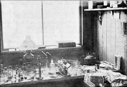 PSM V41 D632 Private room at the marine biology laboratory photo